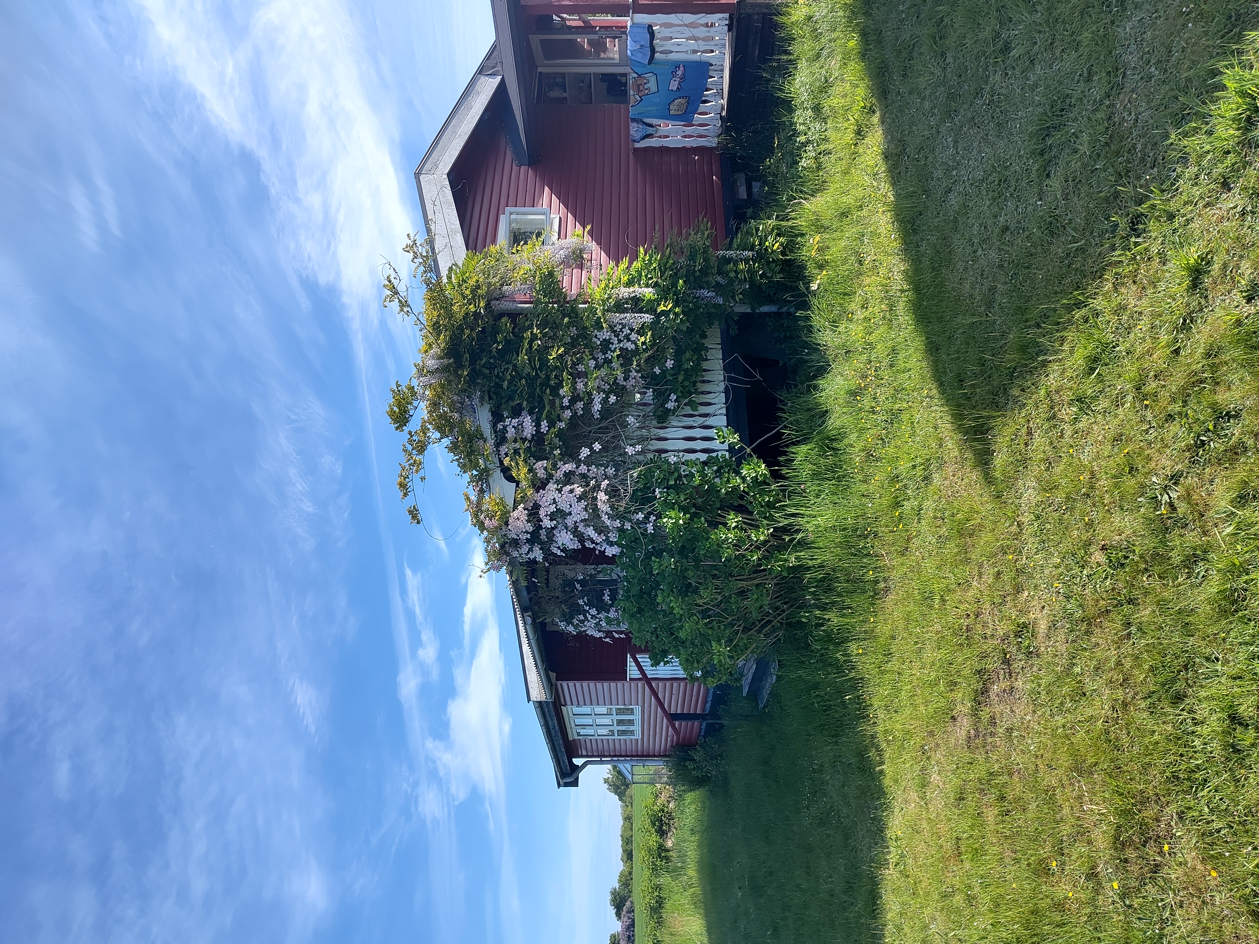 Sommerhus